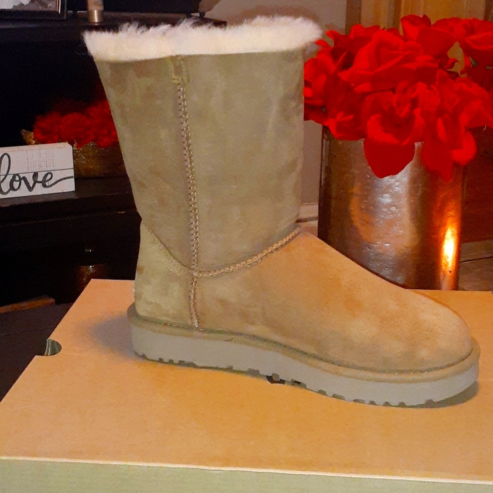 Chestnut Tan UGGS size 7